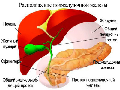 Фото панкреатит поджелудочной железы