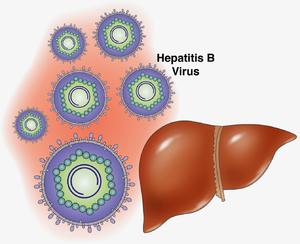 Как бороться с вирусом гепатита