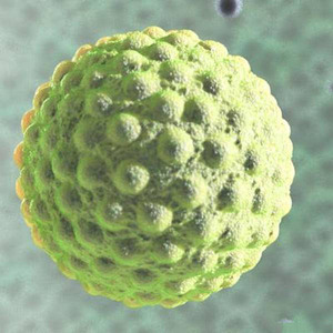 Гепатит А - возбудитель под электронным микроскопом, фото.