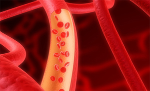 Кровеносная система человека с возрастом становится менее эластичной.